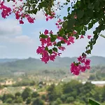 Valley View