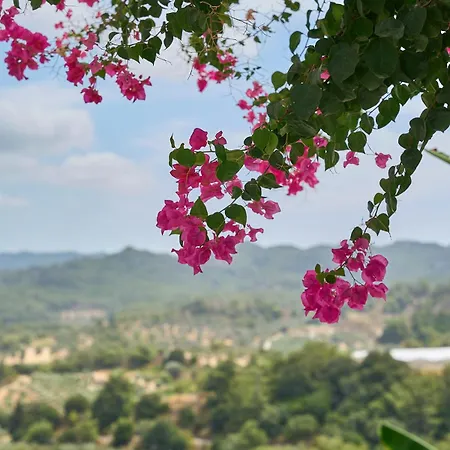 Valley View
