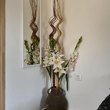 Valley View Apartment