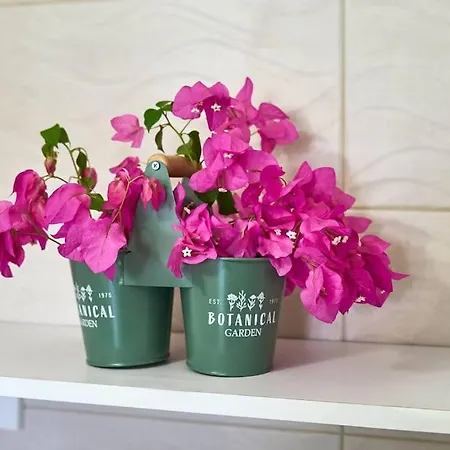 Valley View דירה Sálakos