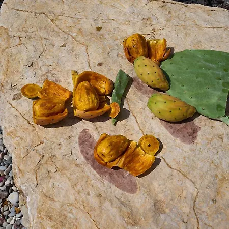 Valley View Lejlighed