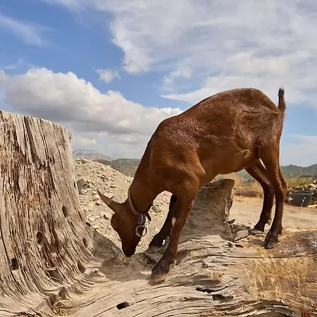 Valley View 公寓 *