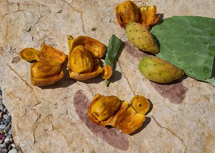 Valley View Apartment