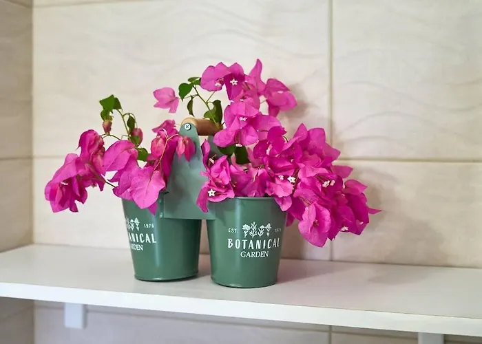 Valley View Apartment Sálakos